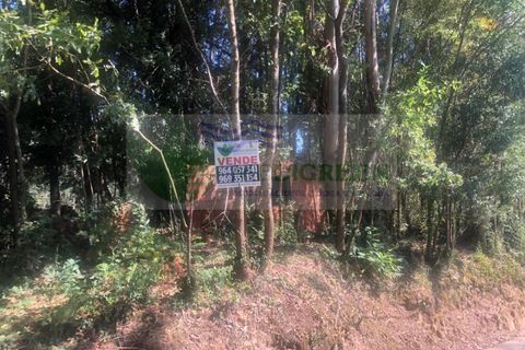 Farm i Sever do Vouga, Aveiro, Sever do Vouga - € 10.000 | Ref: FIN_1690 - foto 9