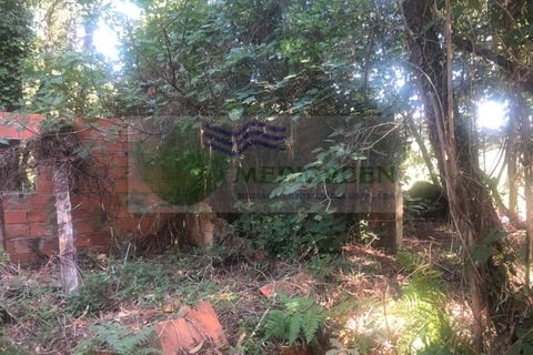 Farm i Sever do Vouga, Aveiro, Sever do Vouga - € 10.000 | Ref: FIN_1690 - foto 11