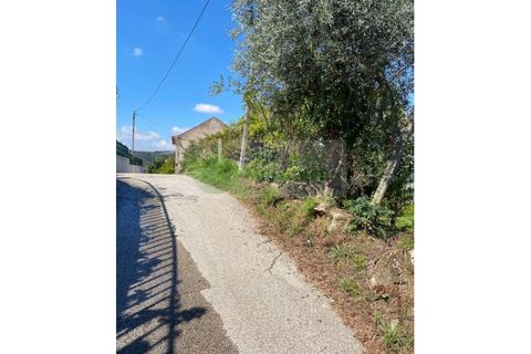 Villa i Sever do Vouga, Aveiro, Sever do Vouga - € 80.000 | Ref: CAS_1529 - foto 12