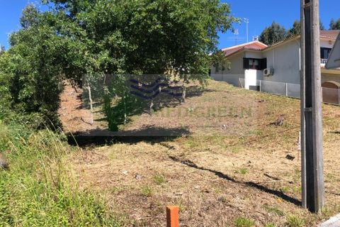 Helårsgrund i Sever do Vouga, Aveiro, Sever do Vouga - € 48.000 | Ref: TER_1678 - foto 2