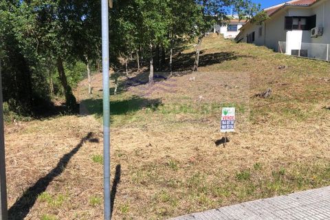 Helårsgrund i Sever do Vouga, Aveiro, Sever do Vouga - € 48.000 | Ref: TER_1678 - foto 4