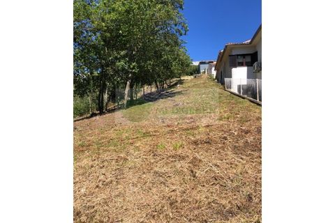 Helårsgrund i Sever do Vouga, Aveiro, Sever do Vouga - € 48.000 | Ref: TER_1678 - foto 6