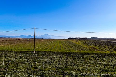 Villa i Orange, Vaucluse, Orange - € 248.000 | Ref: 35455 - foto 2