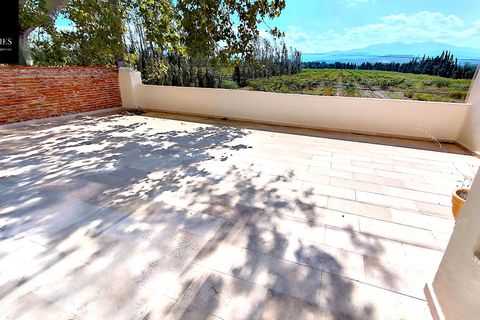Villa i Thuir, Pyrenees-Orientales, Thuir - € 549.000 | Ref: 660303475 - foto 9
