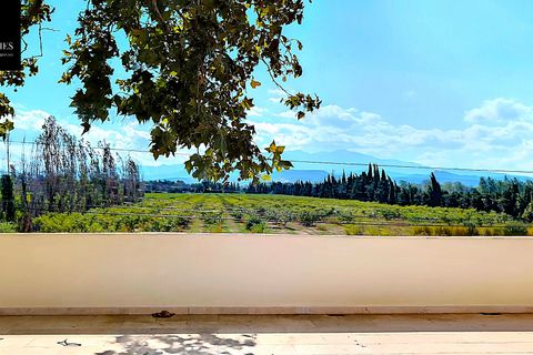 Villa i Thuir, Pyrenees-Orientales, Thuir - € 549.000 | Ref: 660303475 - foto 10