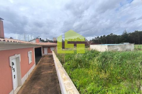 Byhus i Leiria, Leiria, Leiria - € 380.000 | Ref: LT1343 - foto 46