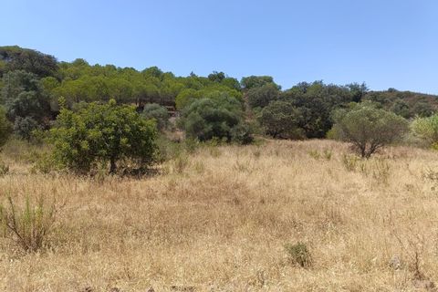 Helårsgrund i Castro Marim, Faro, Castro Marim - € 35.000 | Ref: SÒL_52308 - foto 3