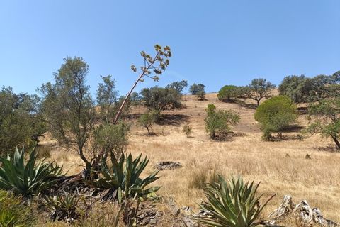 Helårsgrund i Castro Marim, Faro, Castro Marim - € 35.000 | Ref: SÒL_52308 - foto 5