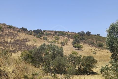 Helårsgrund i Castro Marim, Faro, Castro Marim - € 35.000 | Ref: SÒL_52308 - foto 7