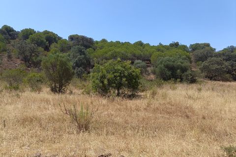 Helårsgrund i Castro Marim, Faro, Castro Marim - € 35.000 | Ref: SÒL_52308 - foto 8