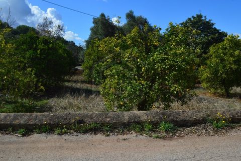 Villa i Alte, Faro, Alte - € 450.000 | Ref: 00/M/19348 - foto 14