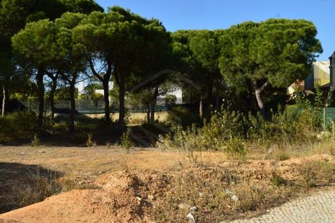 Helårsgrund i Almancil, Faro, Almancil - € 2.275.000 | Ref: T/01201 - foto 2