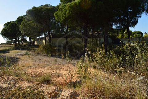 Helårsgrund i Almancil, Faro, Almancil - € 2.275.000 | Ref: T/01201 - foto 4