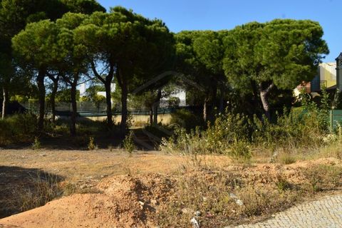 Helårsgrund i Almancil, Faro, Almancil - € 2.275.000 | Ref: T/01201 - foto 5
