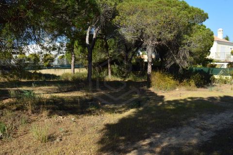 Helårsgrund i Almancil, Faro, Almancil - € 2.275.000 | Ref: T/01201 - foto 7