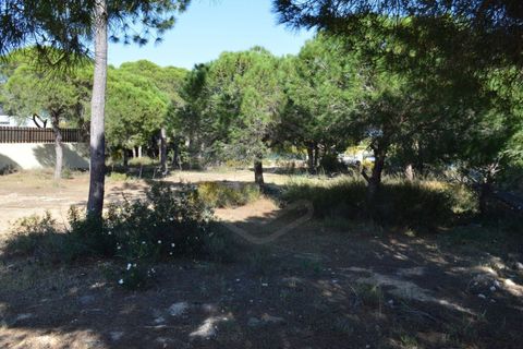 Helårsgrund i Almancil, Faro, Almancil - € 1.975.000 | Ref: T/01204 - foto 1