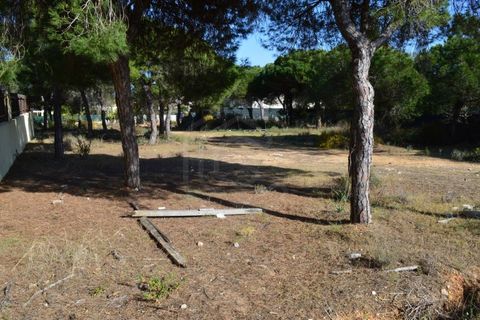 Helårsgrund i Almancil, Faro, Almancil - € 1.975.000 | Ref: T/01204 - foto 2