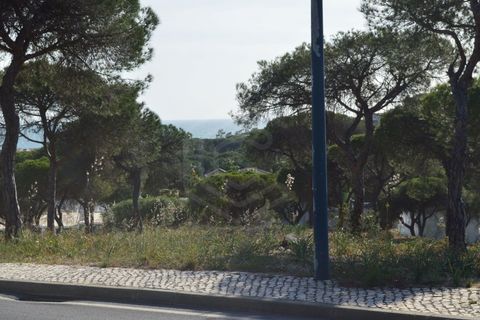 Helårsgrund i Almancil, Faro, Almancil - € 1.975.000 | Ref: T/01204 - foto 3