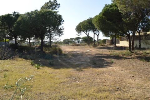 Helårsgrund i Almancil, Faro, Almancil - € 1.975.000 | Ref: T/01204 - foto 5