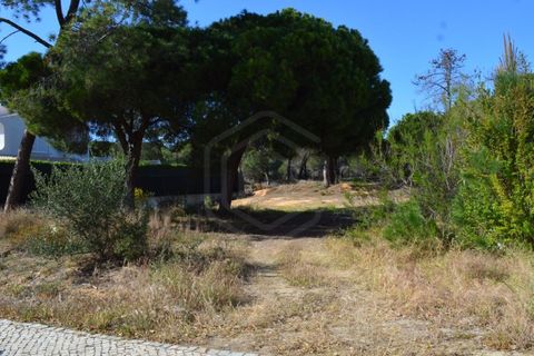 Helårsgrund i Almancil, Faro, Almancil - € 1.975.000 | Ref: T/01203 - foto 2