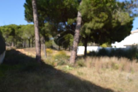 Helårsgrund i Almancil, Faro, Almancil - € 1.975.000 | Ref: T/01203 - foto 4