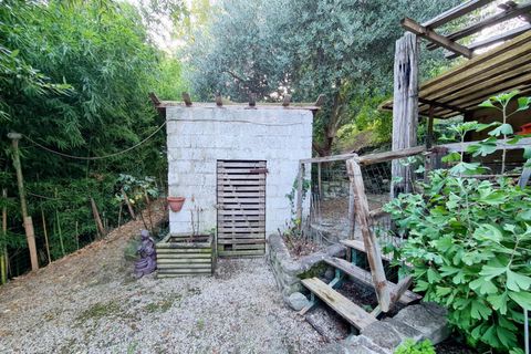 Landejendom i Baone, Padua, Baone - € 179.000 | Ref: RUST 190 - foto 26