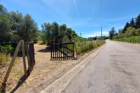 Helårsgrund i Carvoeiro, Faro, Carvoeiro - € 1.450.000 | Ref: SÒL_52101 - foto 15