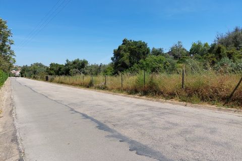 Helårsgrund i Carvoeiro, Faro, Carvoeiro - € 1.450.000 | Ref: SÒL_52101 - foto 16