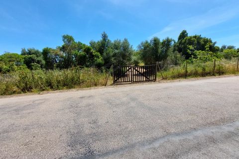 Helårsgrund i Carvoeiro, Faro, Carvoeiro - € 1.450.000 | Ref: SÒL_52101 - foto 18