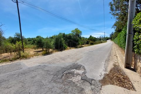 Helårsgrund i Carvoeiro, Faro, Carvoeiro - € 1.450.000 | Ref: SÒL_52101 - foto 21
