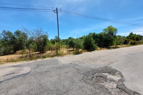 Helårsgrund i Carvoeiro, Faro, Carvoeiro - € 1.450.000 | Ref: SÒL_52101 - foto 22