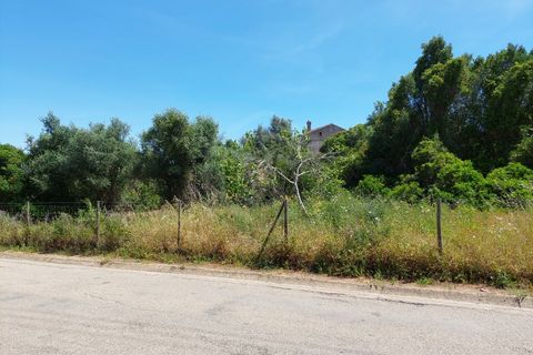 Helårsgrund i Carvoeiro, Faro, Carvoeiro - € 1.450.000 | Ref: SÒL_52101 - foto 24