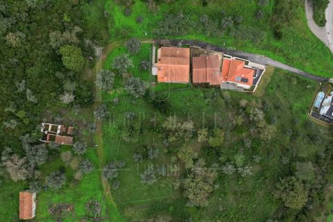 Terra a Coimbra, Coimbra, Coimbra - € 60.000 | Ref: LUX_CB-00695 - foto 3