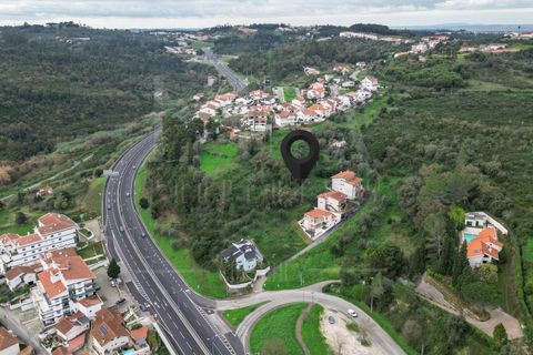 Terra a Coimbra, Coimbra, Coimbra - € 60.000 | Ref: LUX_CB-00695 - foto 9