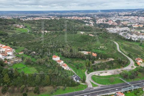 Terra a Coimbra, Coimbra, Coimbra - € 60.000 | Ref: LUX_CB-00695 - foto 10