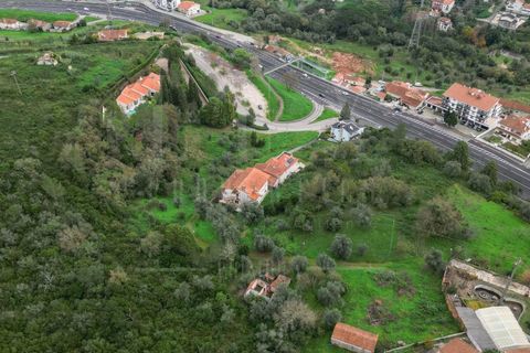 Terra a Coimbra, Coimbra, Coimbra - € 60.000 | Ref: LUX_CB-00695 - foto 16