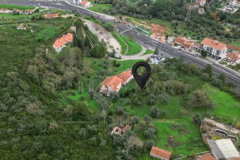 Terra a Coimbra, Coimbra, Coimbra - € 60.000 | Ref: LUX_CB-00695 - foto 17