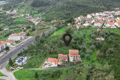 Terra a Coimbra, Coimbra, Coimbra - € 60.000 | Ref: LUX_CB-00695 - foto 24