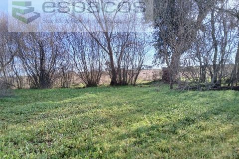 Terra a Fundao, Castelo Branco, Fundao - € 7.500 | Ref: 4053 RR-EM - foto 2