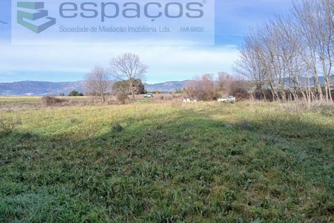 Terra a Fundao, Castelo Branco, Fundao - € 7.500 | Ref: 4053 RR-EM - foto 7