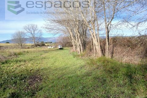 Terra a Fundao, Castelo Branco, Fundao - € 7.500 | Ref: 4053 RR-EM - foto 8