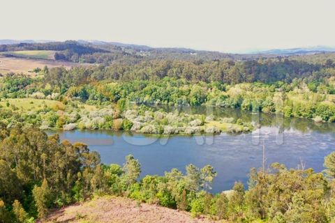 Helårsgrund i Moncao, Viana do Castelo, Moncao - € 123.000 | Ref: SAFTI:006484 - foto 16