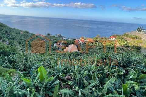Helårsgrund i Arco da Calheta, Madeira, Arco da Calheta - € 425.000 | Ref: SAFTI:006471 - foto 1