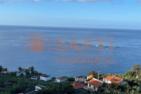 Helårsgrund i Arco da Calheta, Madeira, Arco da Calheta - € 425.000 | Ref: SAFTI:006471 - foto 2