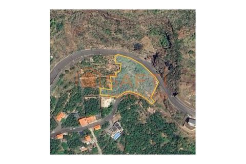 Helårsgrund i Arco da Calheta, Madeira, Arco da Calheta - € 425.000 | Ref: SAFTI:006471 - foto 3