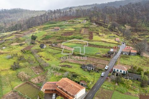 Grond in Calheta, Madeira, Calheta - € 210.000 | Ref: 11523-MV - foto 17