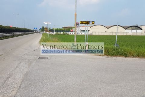 Terra a Calcinato, Brescia, Calcinato - € 560.000 | Ref: vp339 - foto 3