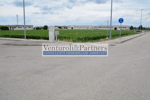 Terra a Calcinato, Brescia, Calcinato - € 560.000 | Ref: vp339 - foto 7