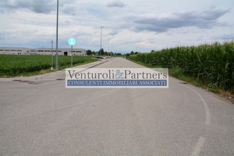 Terra a Calcinato, Brescia, Calcinato - € 560.000 | Ref: vp339 - foto 9