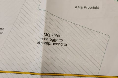 Terra a Calcinato, Brescia, Calcinato - € 560.000 | Ref: vp339 - foto 10